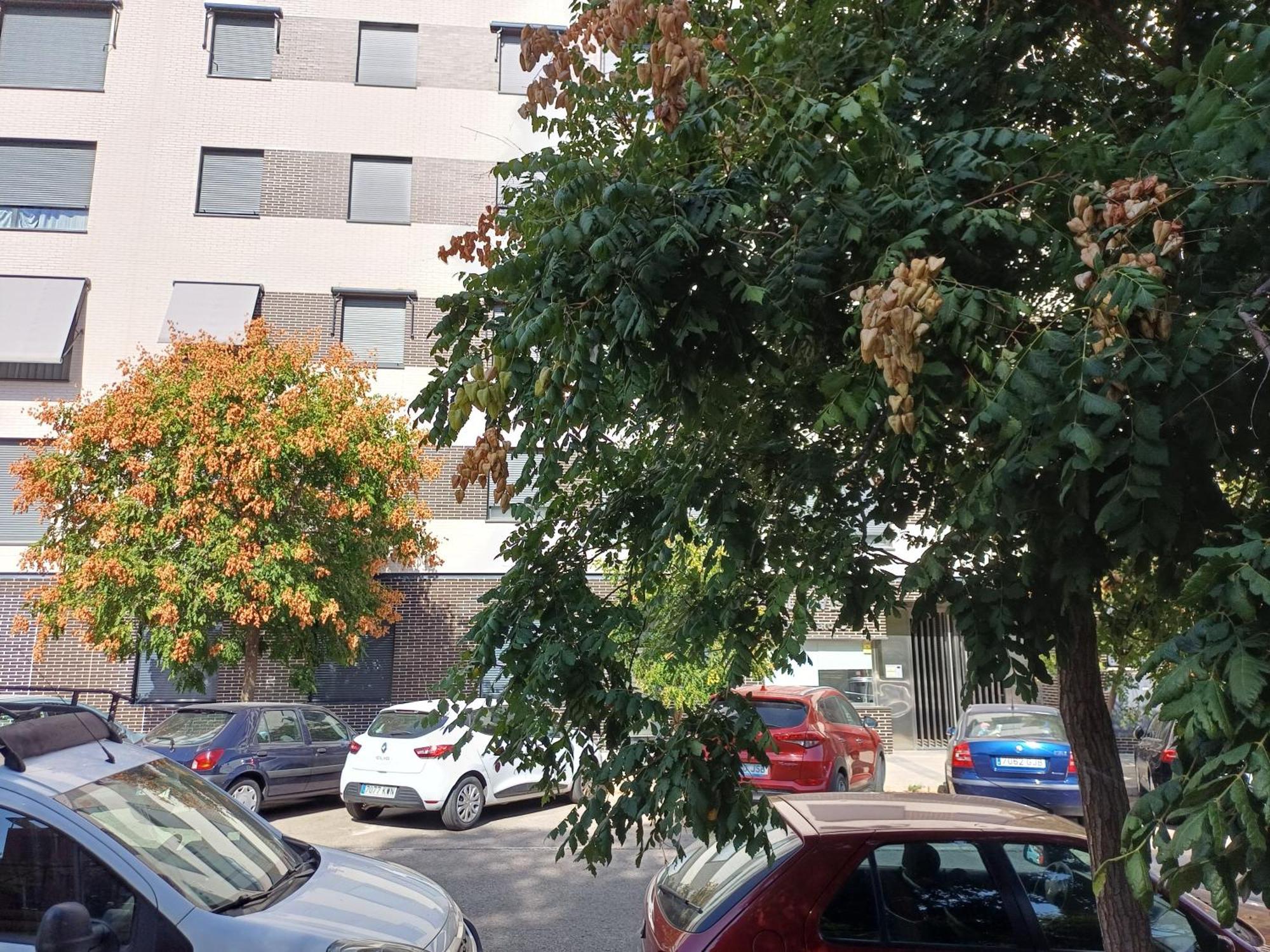Estudios Nuevos Madrid Centro エクステリア 写真