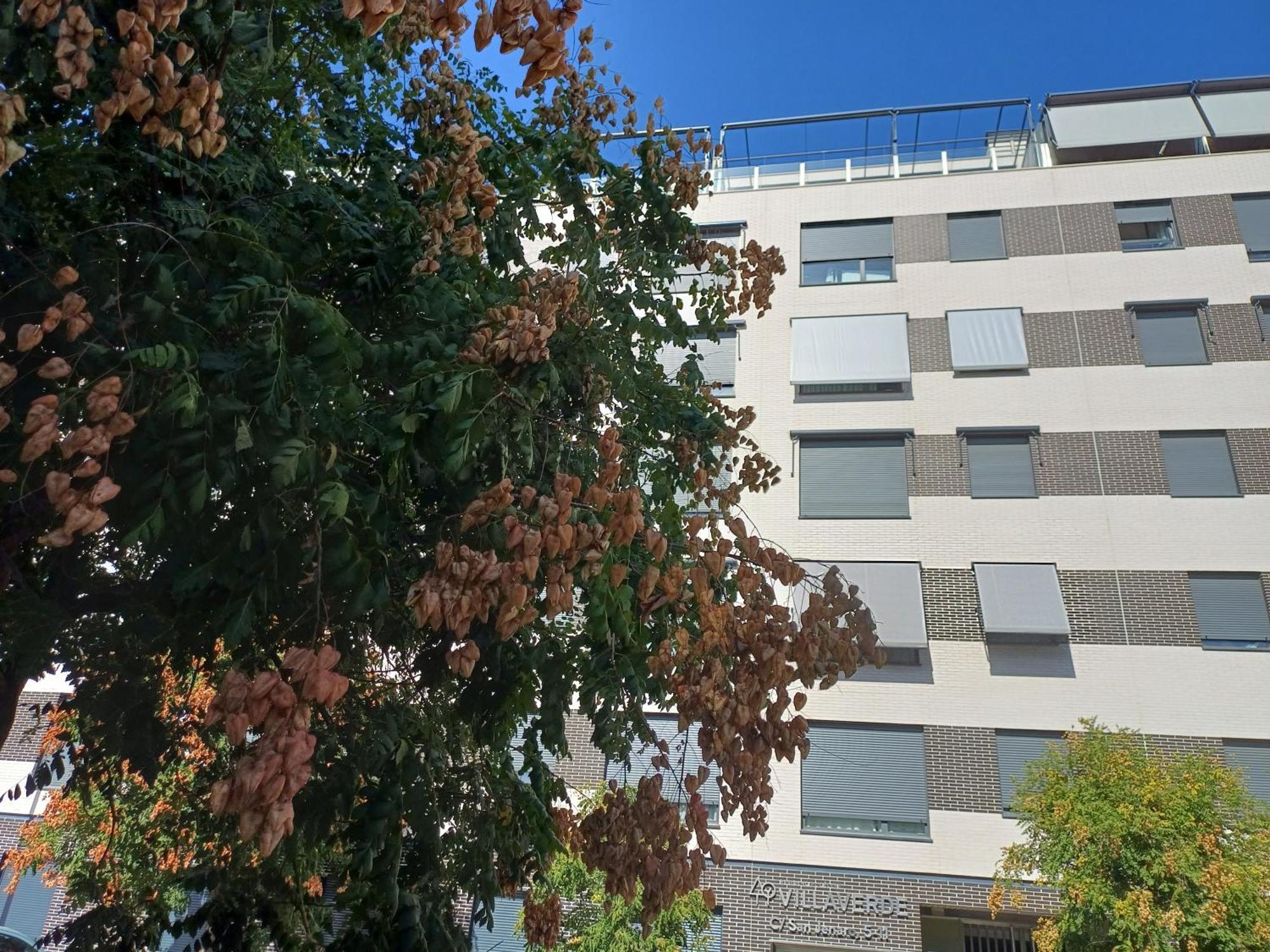 Estudios Nuevos Madrid Centro エクステリア 写真